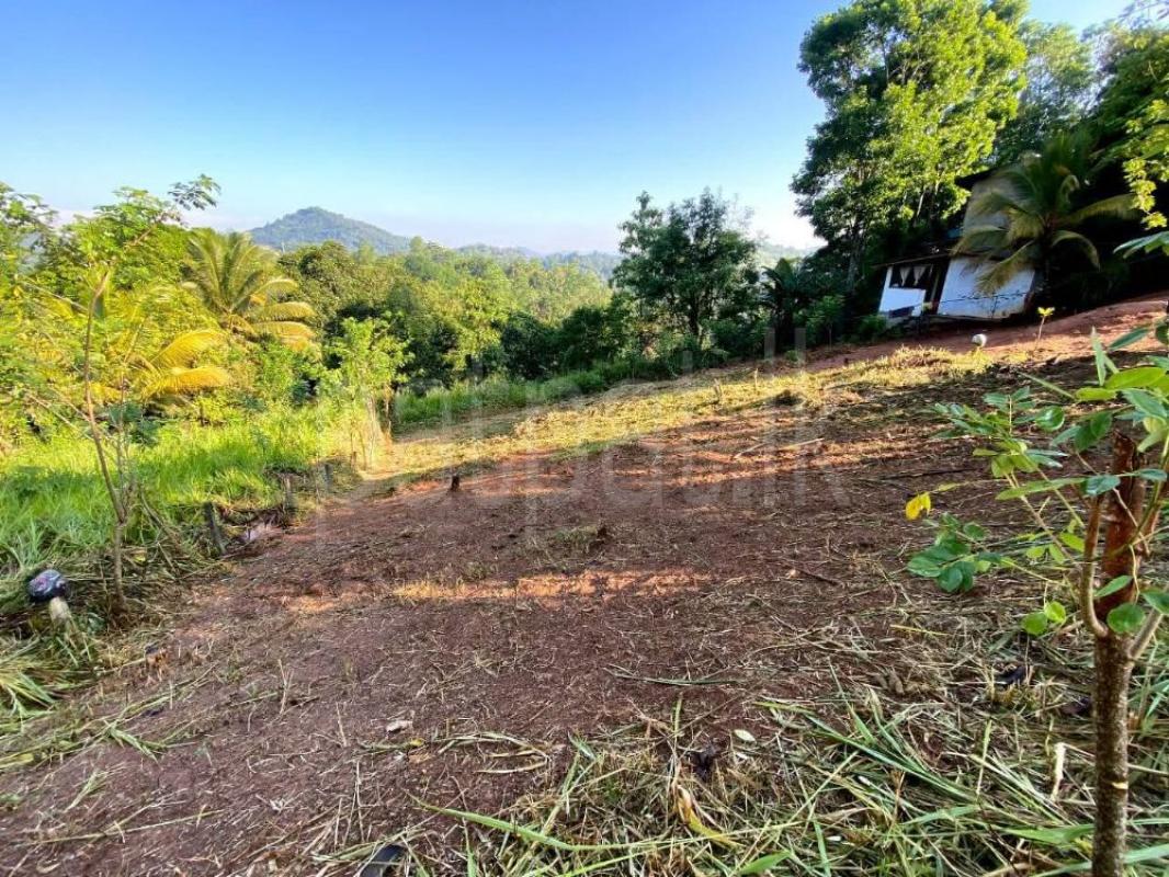 Agricultural Land for Sale in Gampola ads-image-1