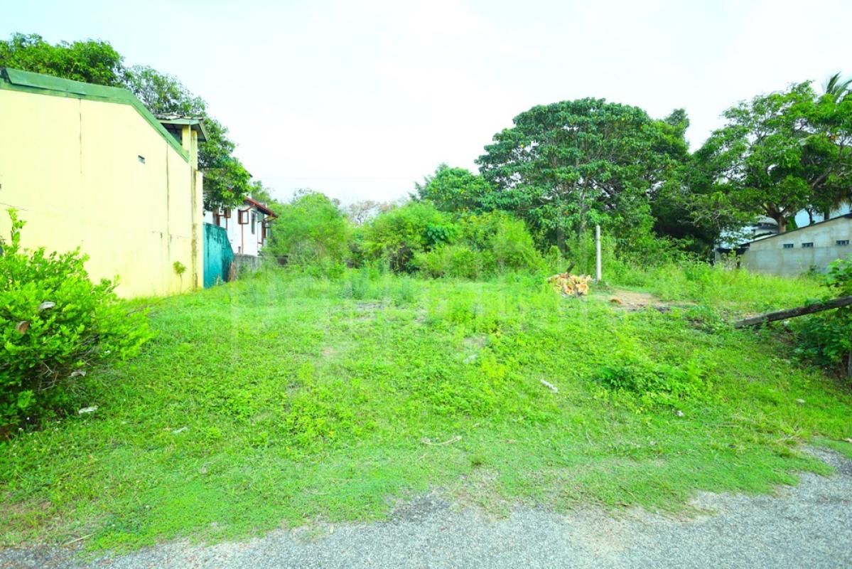Residential Land for Sale in Malabe