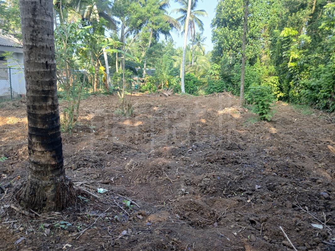 Residential Land for Sale in Veyangoda ads-image-1