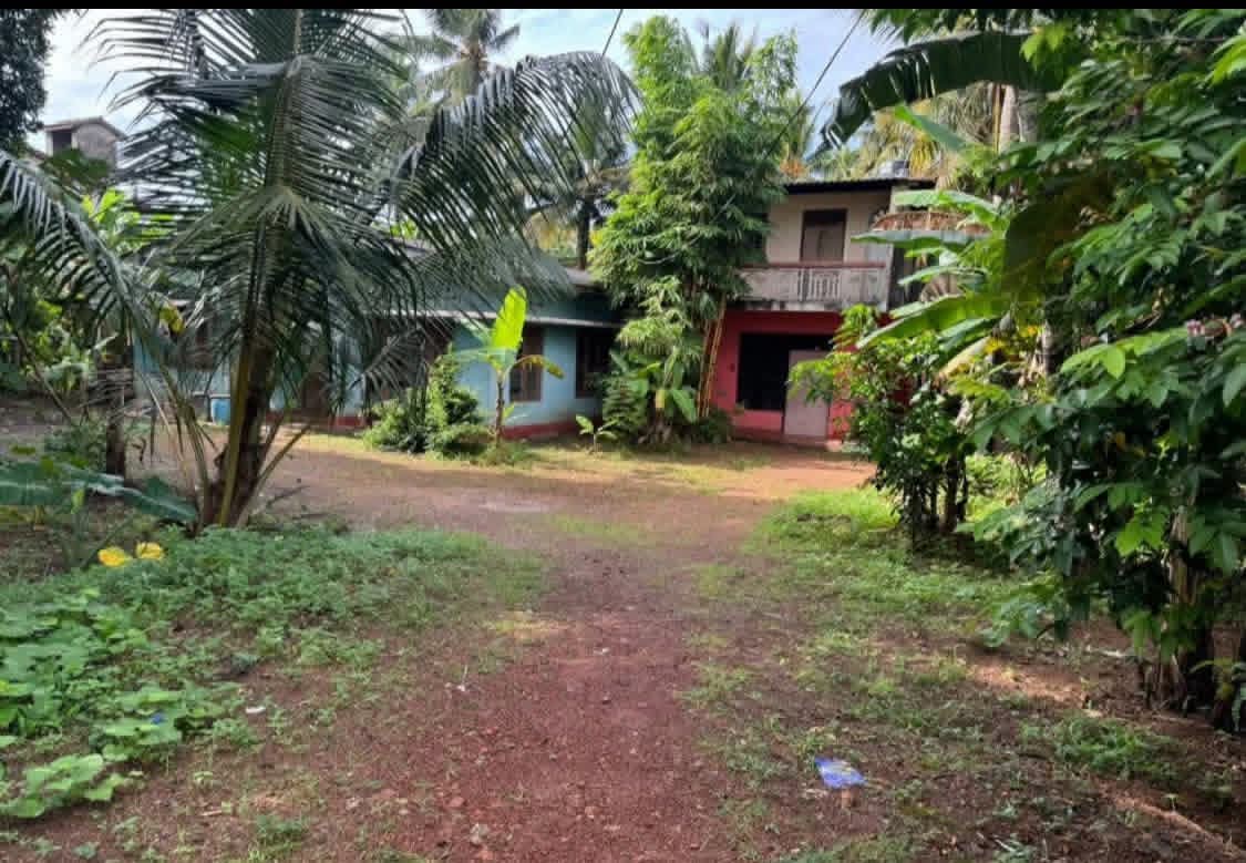Residential Land for Sale in Nugegoda ads-image-1