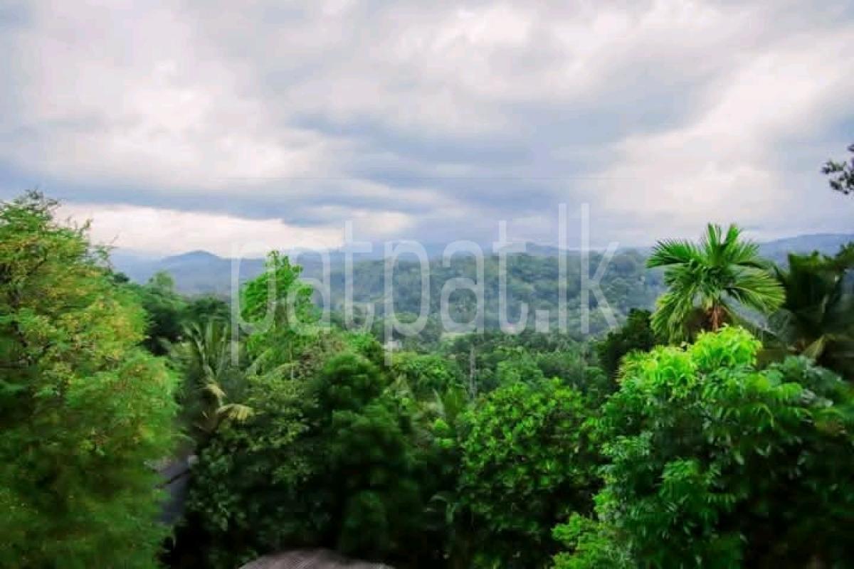 Residential Land for Sale in Peradeniya