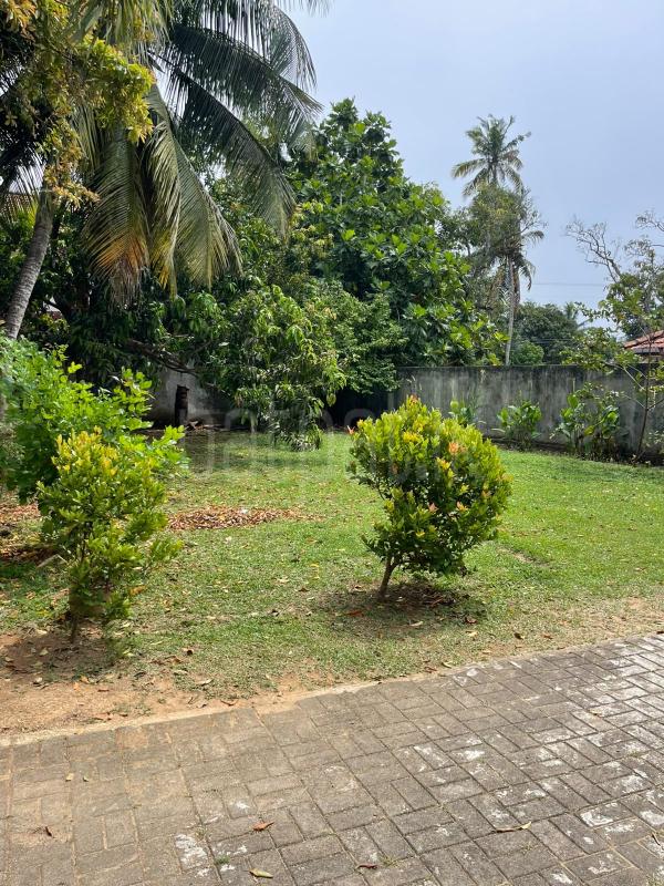 House for Sale in Matara