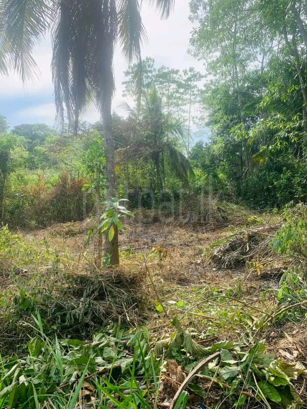 Residential Land for Sale in Hanwella
