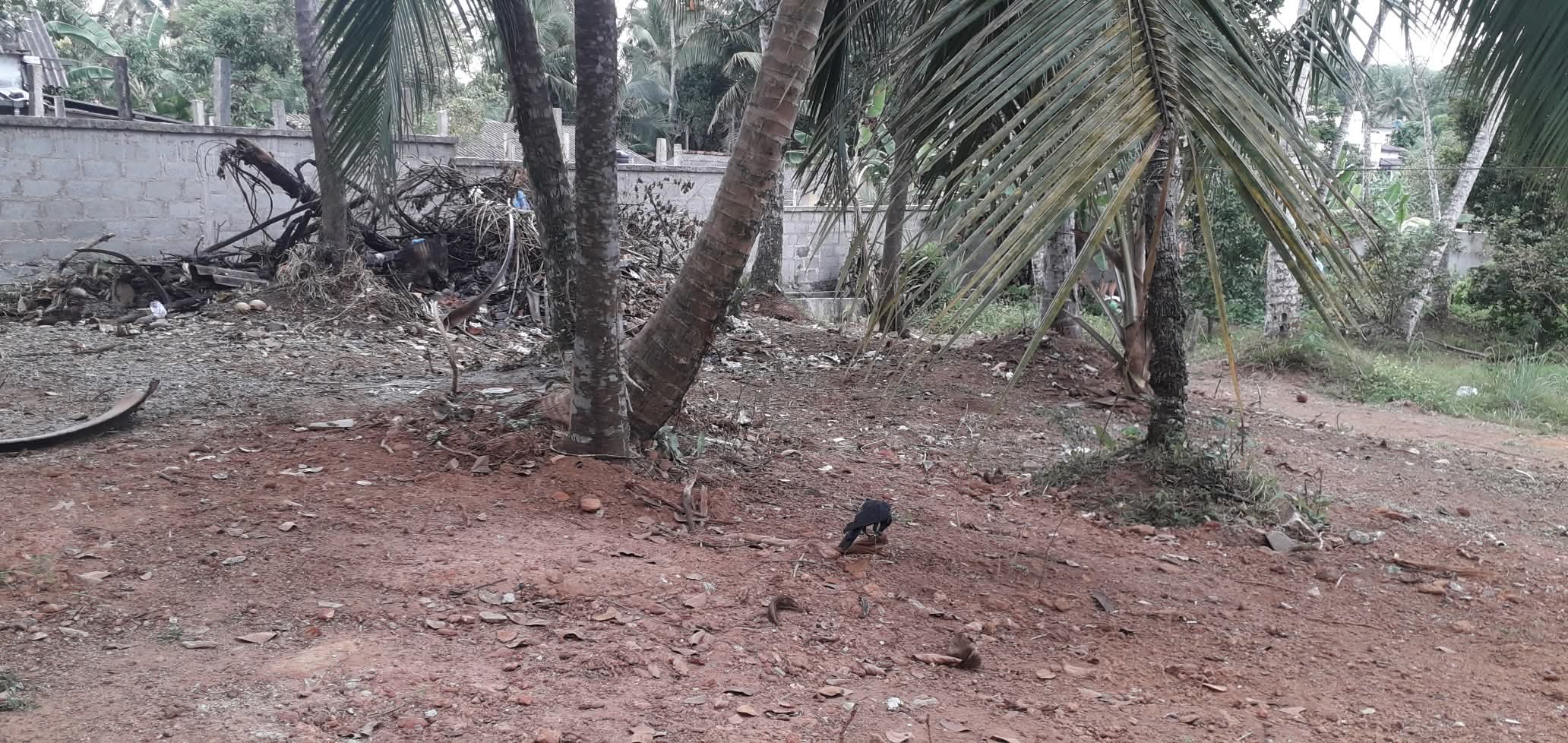 Commercial Land for Sale in Athurugiriya