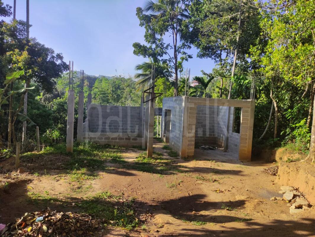 premium-listing-image