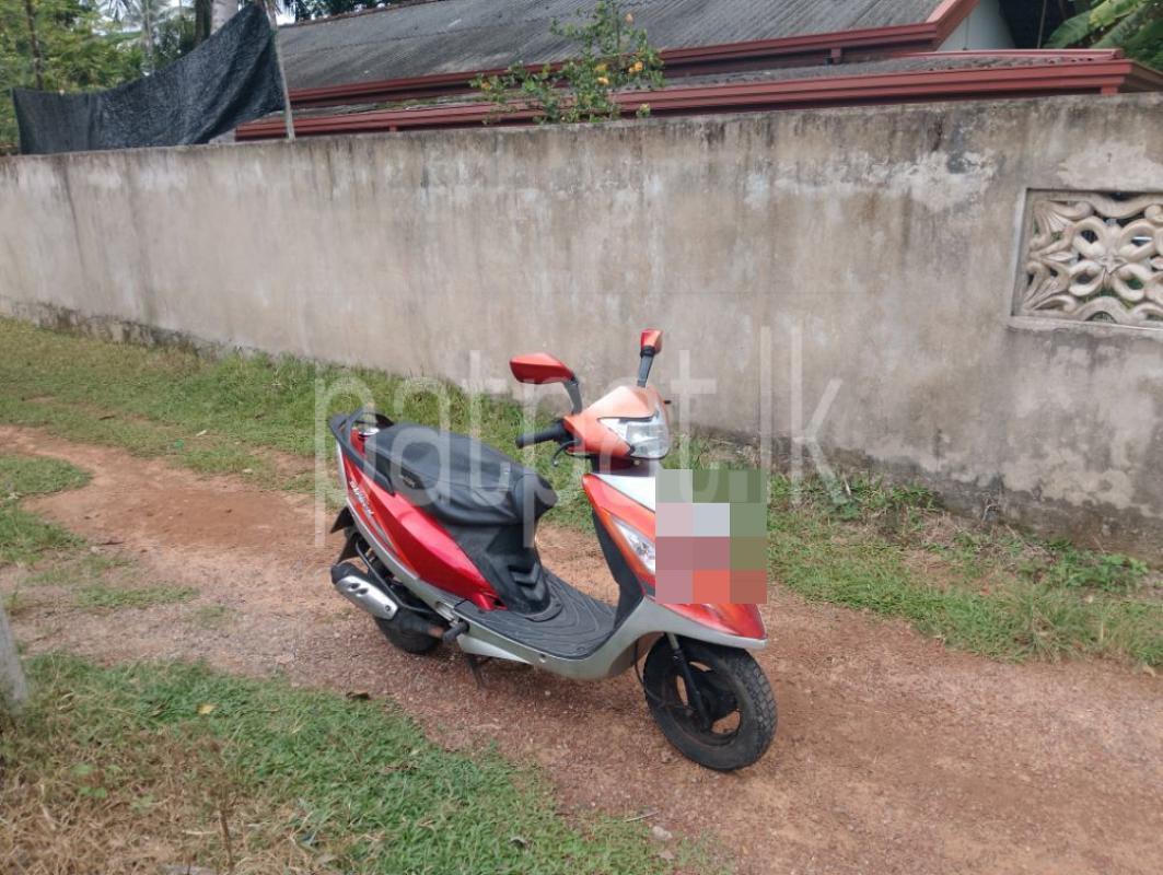 Advertisement image 4