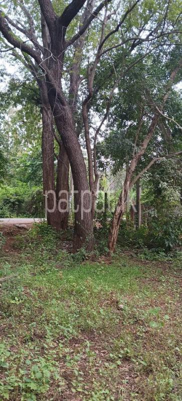 Residential Land for Sale in Kataragama