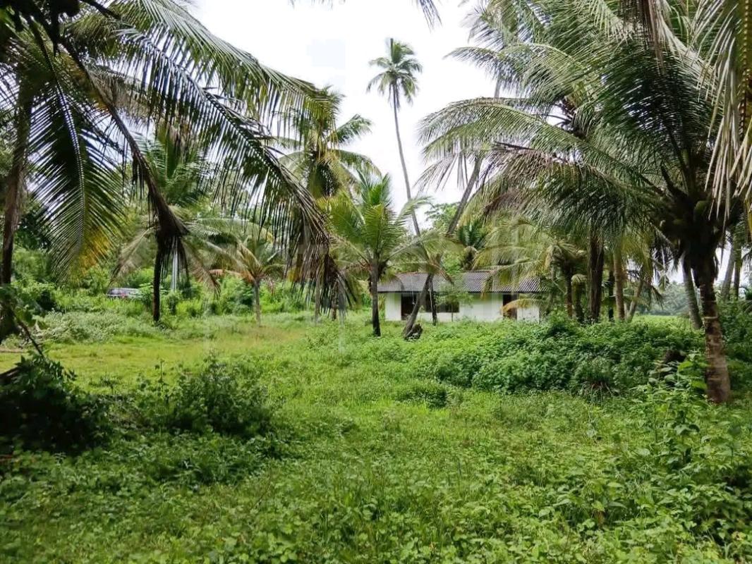 Residential Land for Sale in Beruwala