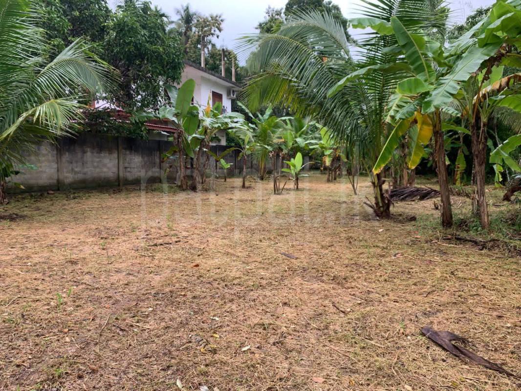 Residential Land for Sale in Marandagahamula