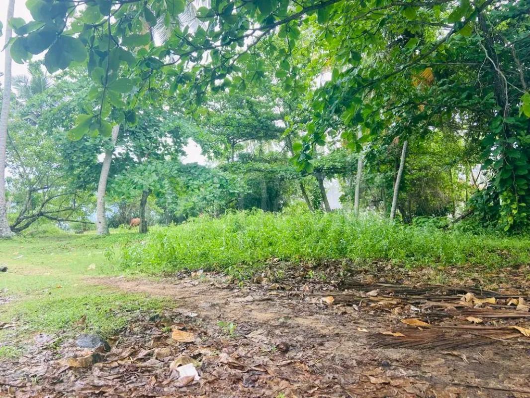 Residential Land for Sale in Ekala