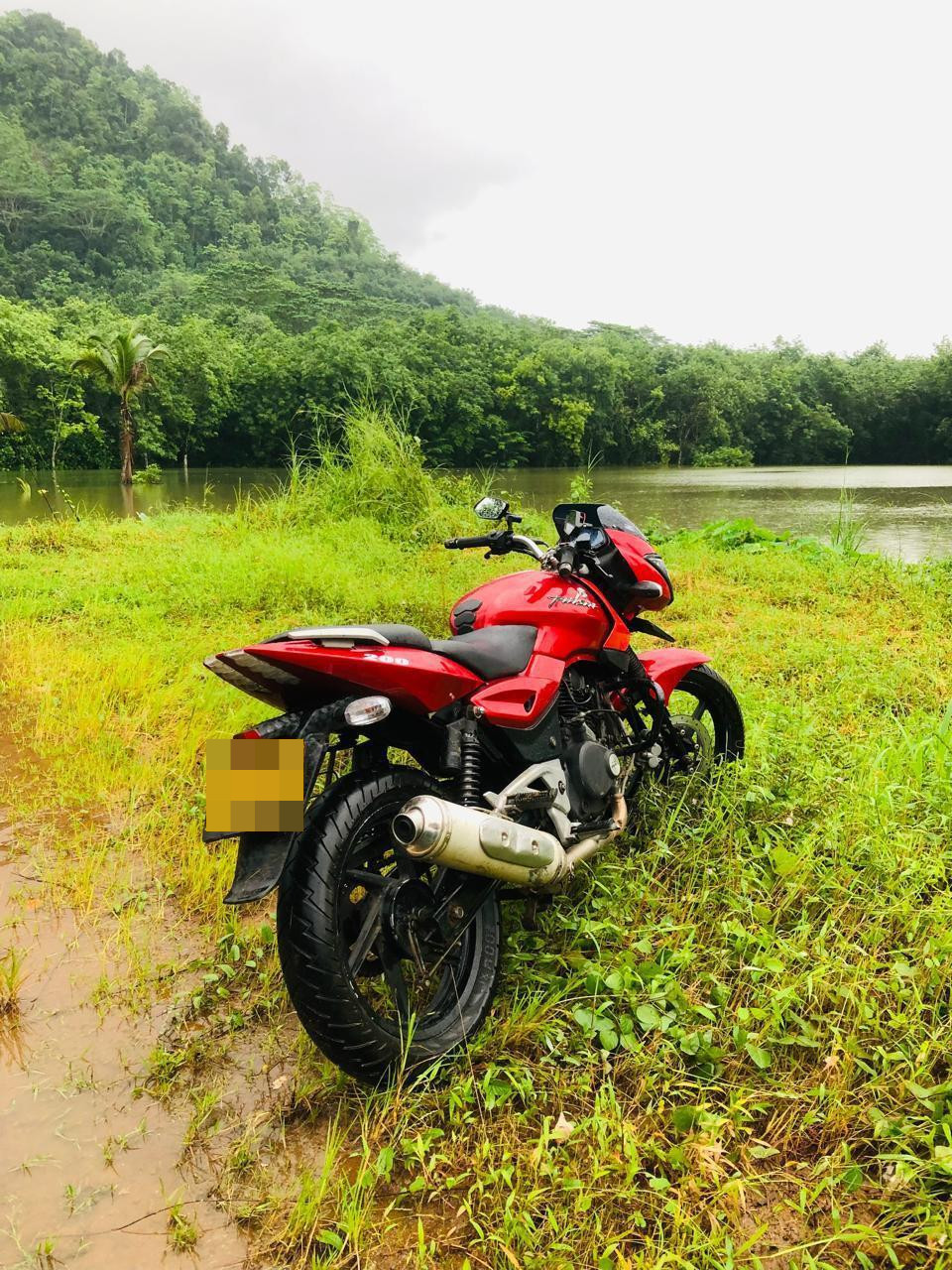 Bajaj Pulsar 2009 - Used Bike sale in Sri Lanka - patpat.lk