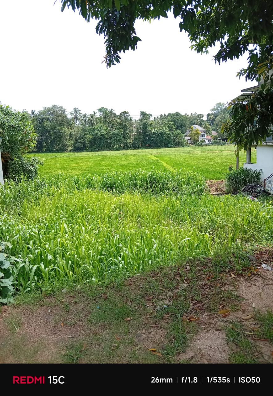 Residential Land for Sale in Yakkala