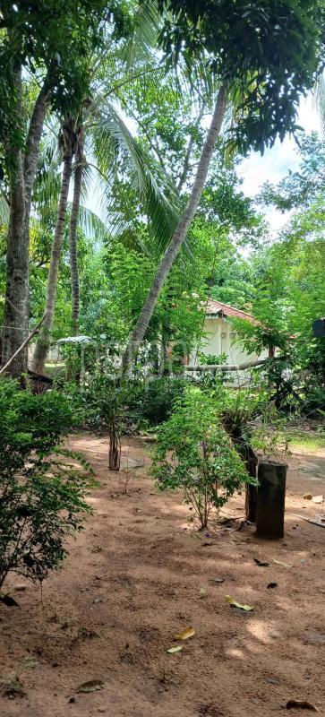 Residential Land for Sale in Kataragama