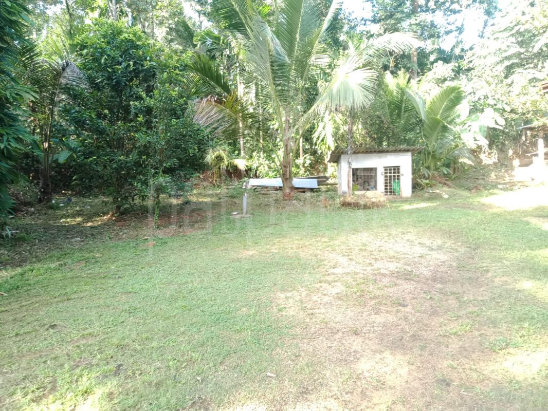 Residential Land for Sale in Gampaha