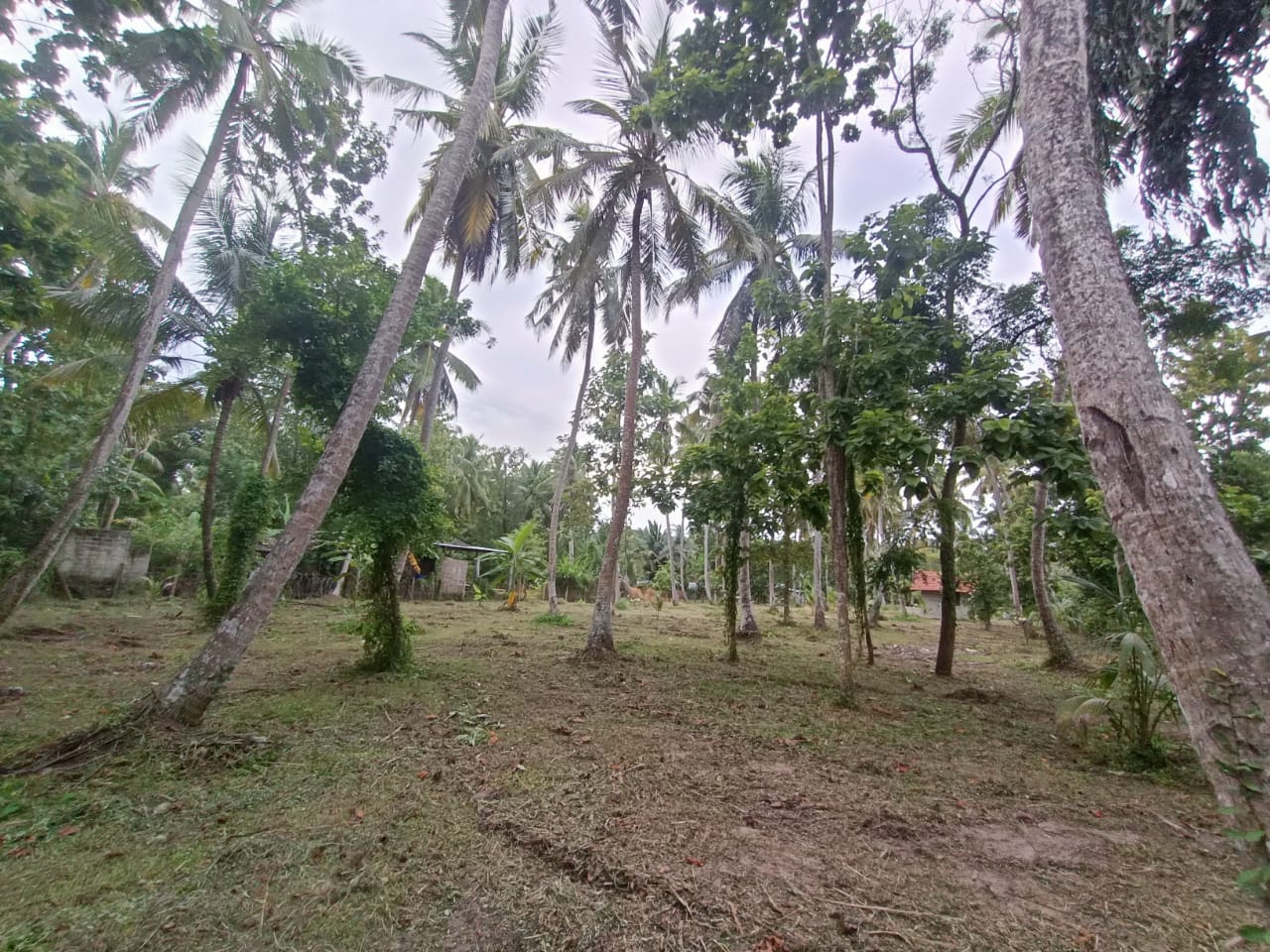 Residential Land for Sale in Marawila