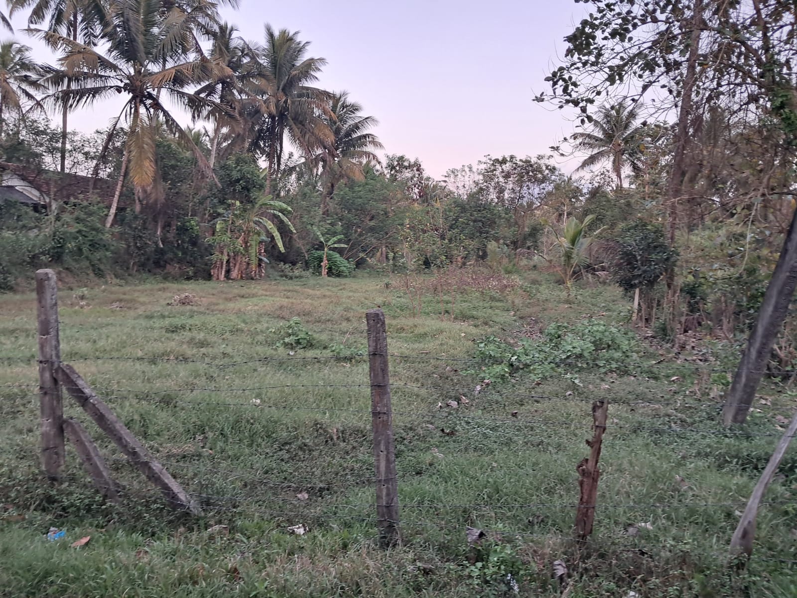 Residential Land for Sale in Hettipola