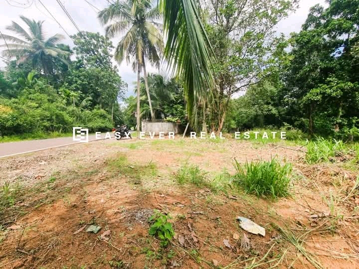 Commercial Land for Sale in Veyangoda