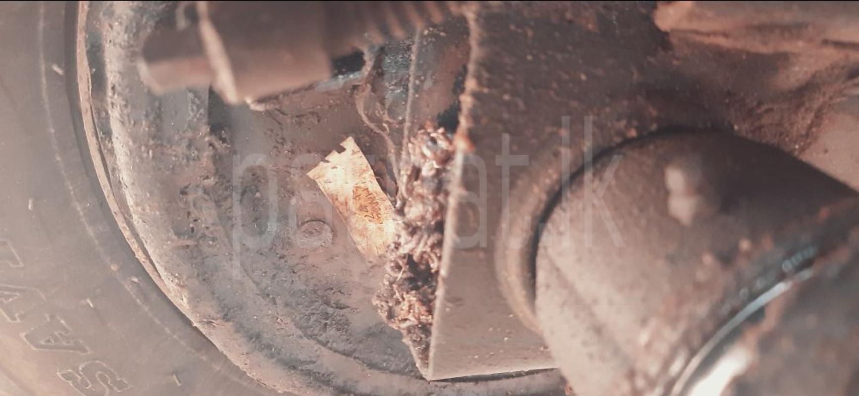 Advertisement image 4