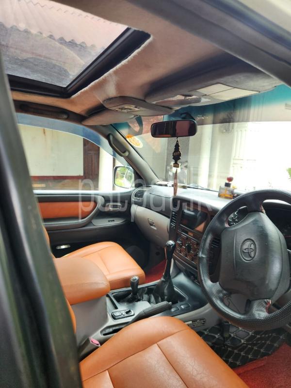 Advertisement image 6