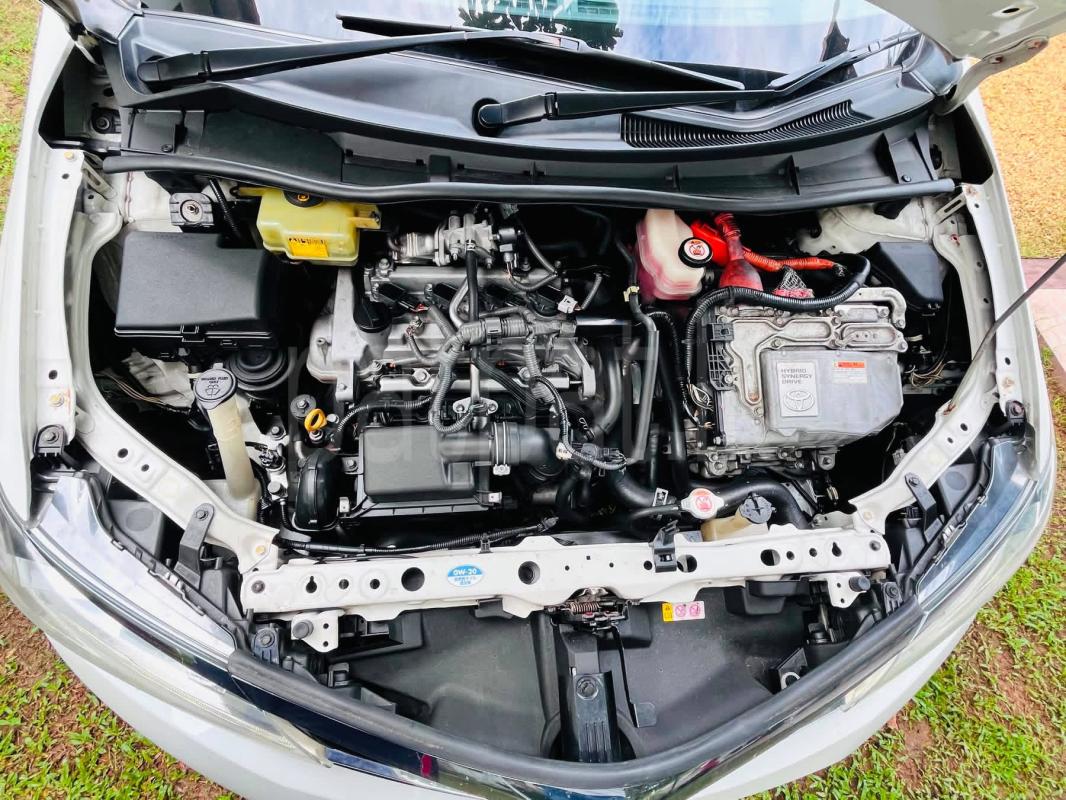 Toyota Axio 2017 - Used Car sale in Sri Lanka - patpat.lk