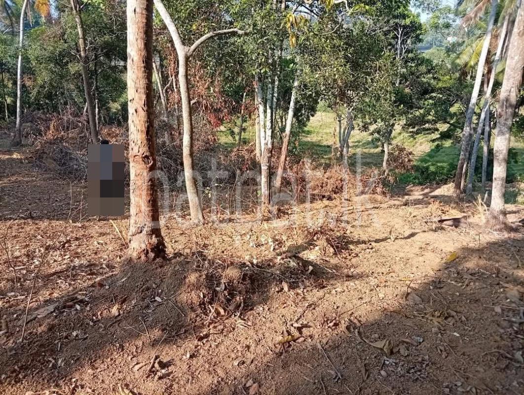 Residential Land for Sale in Veyangoda