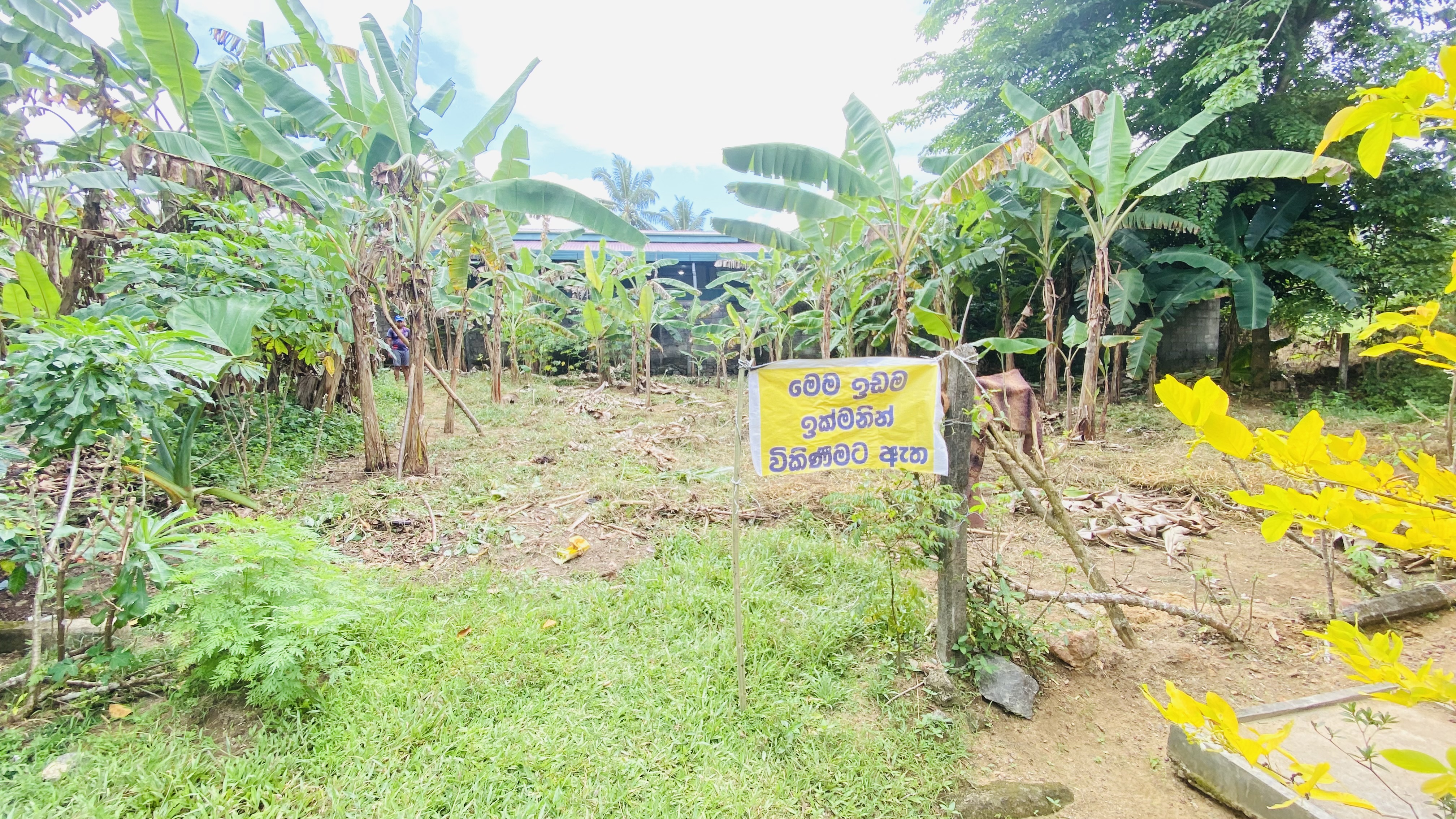 Agricultural Land for Sale in Pitipana Homagama ads-image-1