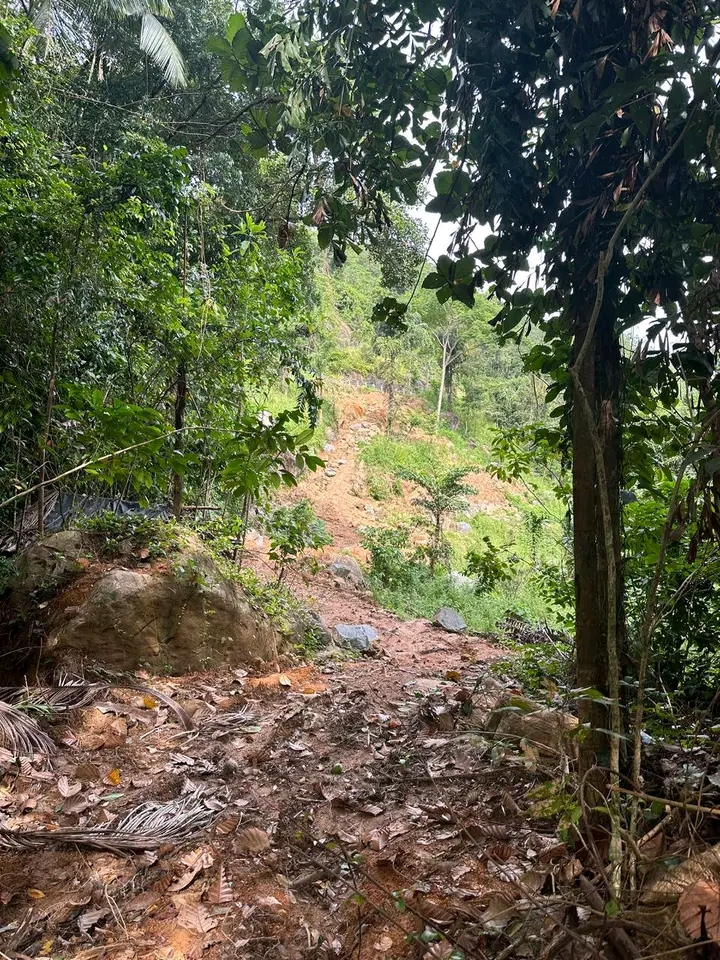 Commercial Land for Sale in Nittambuwa