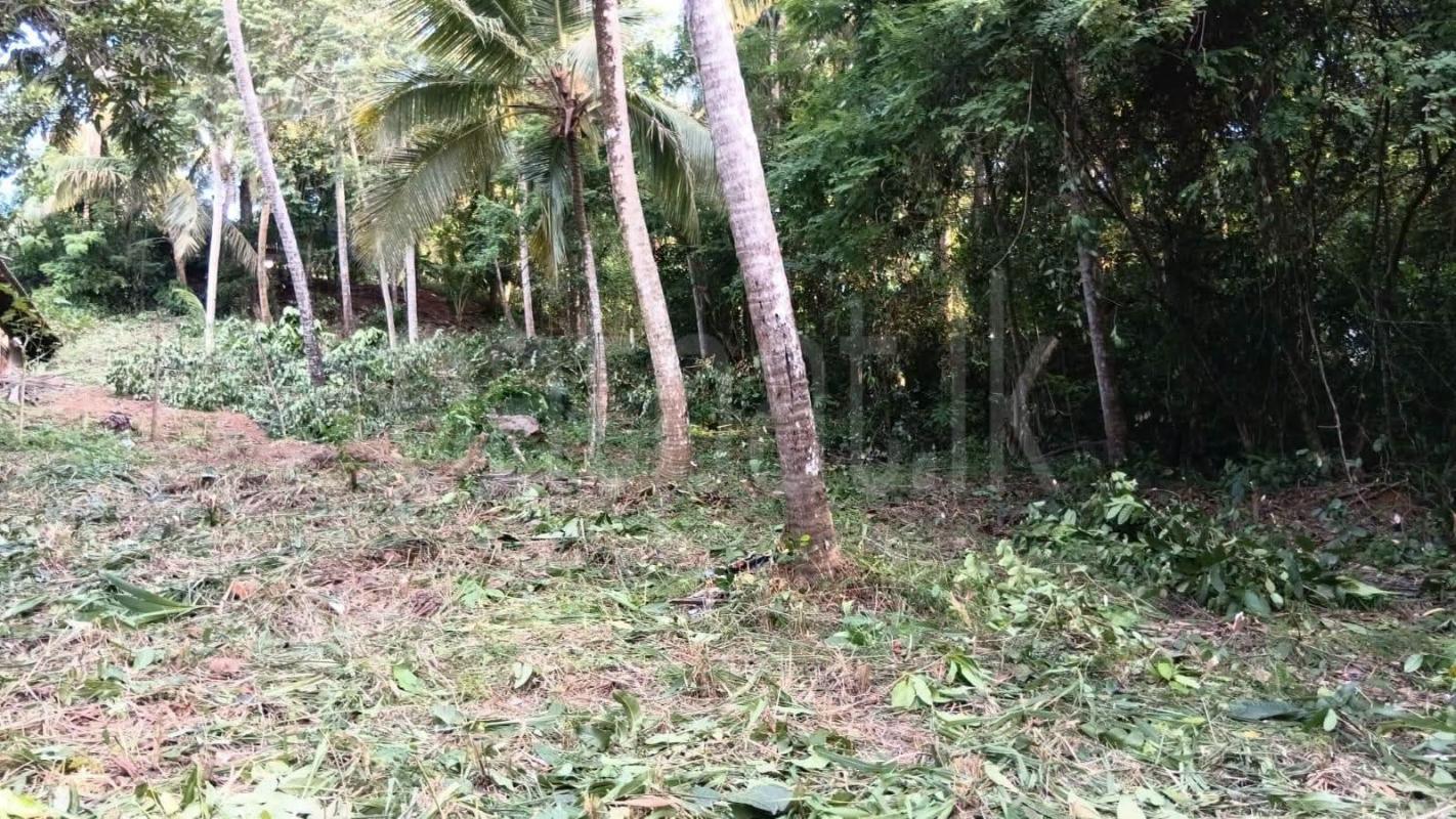 Residential Land for Sale in Kekanadurra