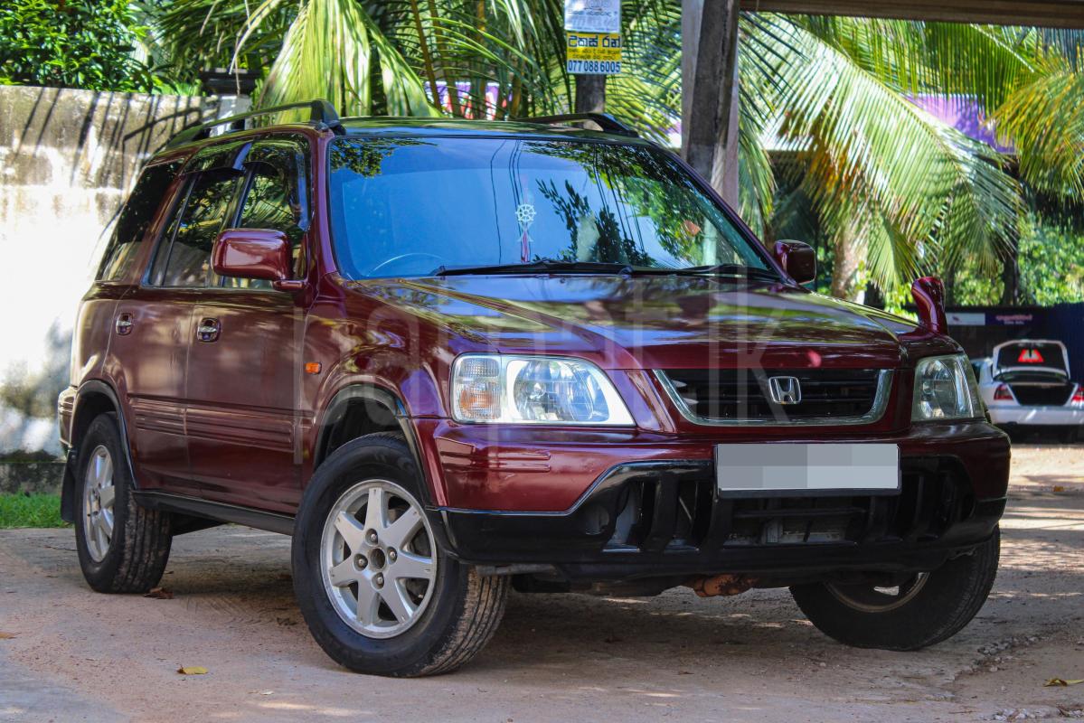 Advertisement image 1