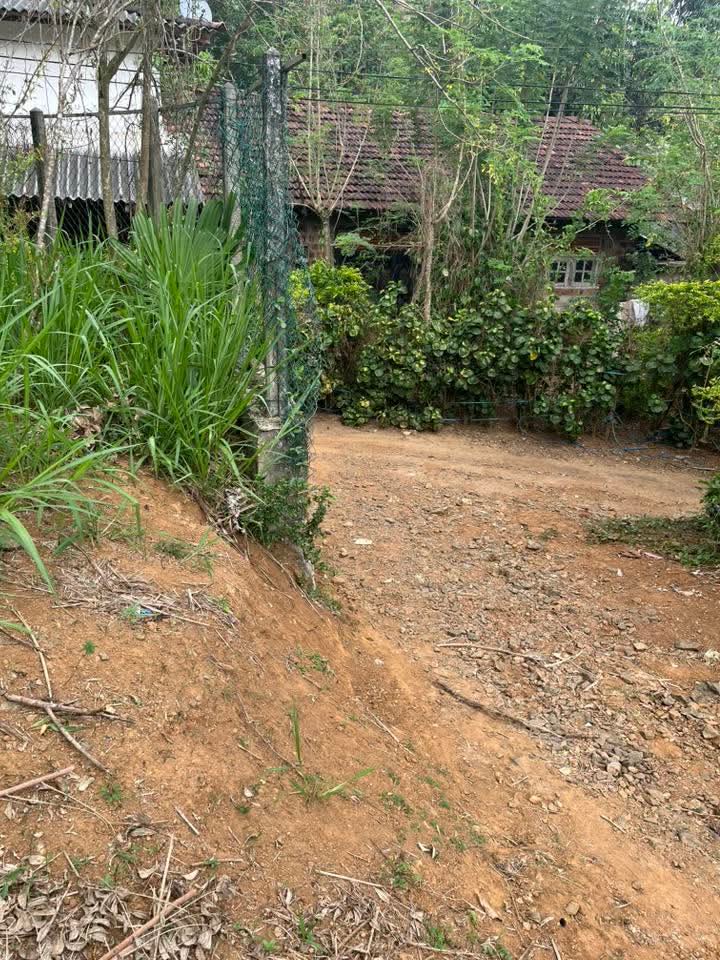 Commercial Land for Sale in Dewalegama