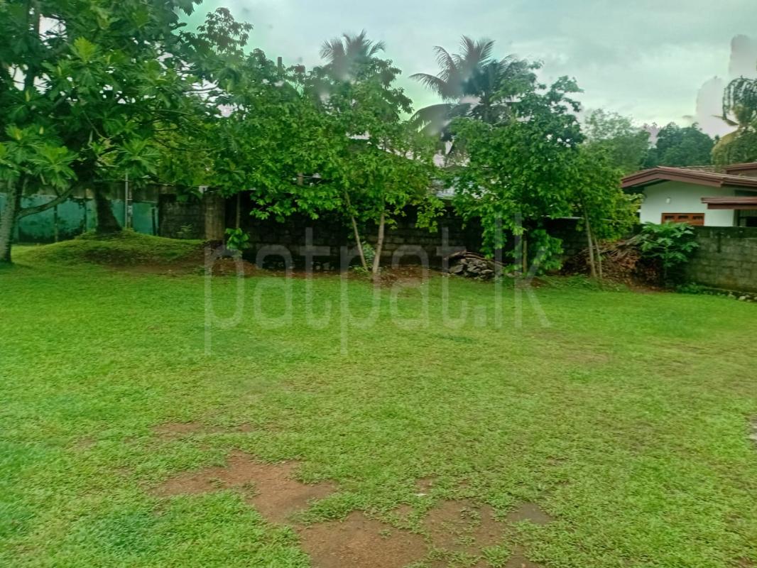 House for Sale in Kotikawatta ads-image-1