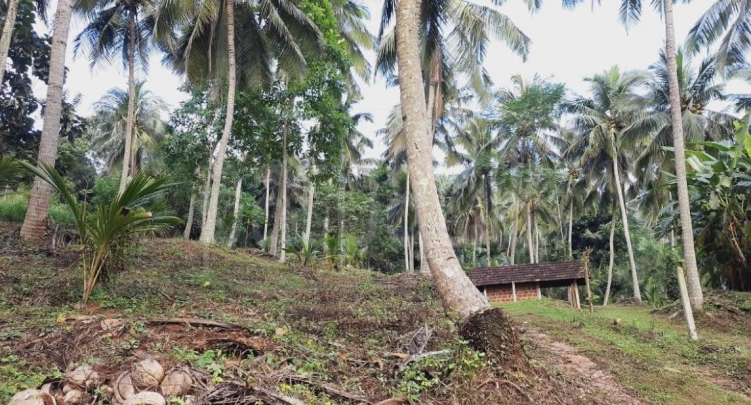 Agricultural Land for Sale in Kundasale