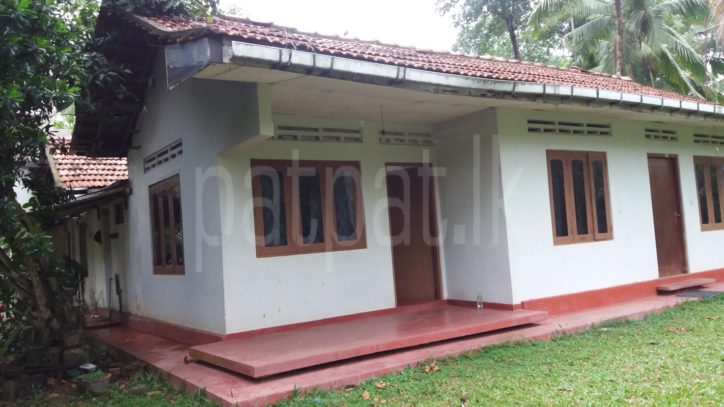 House for Rent in Divulapitiya