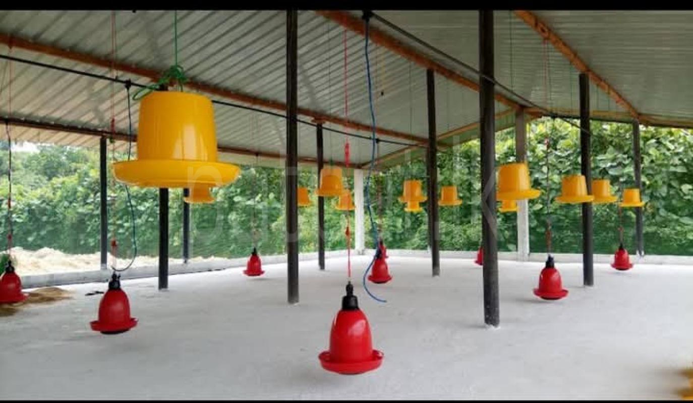 Advertisement image 1