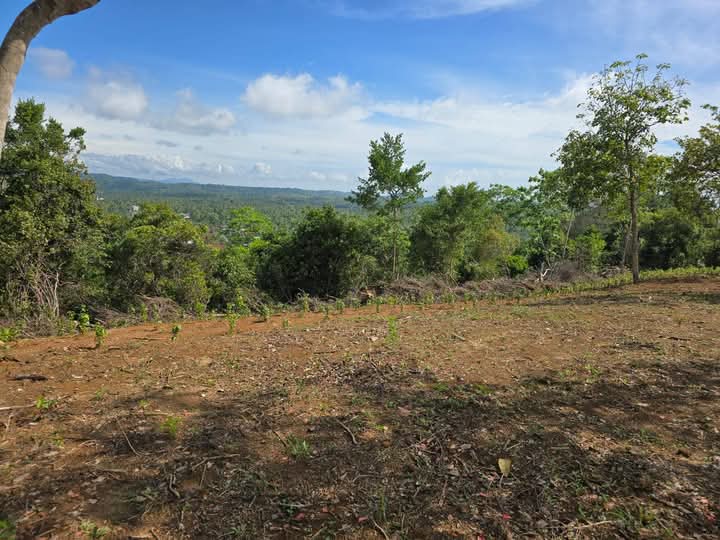 Agricultural Land for Sale in Weligama ads-image-1
