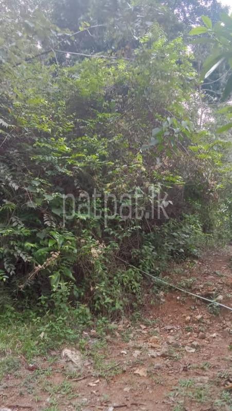Agricultural Land for Sale in Deniyaya