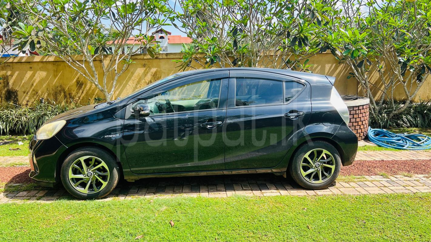 Advertisement image 5