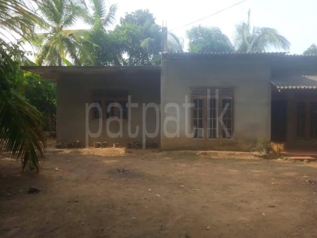 House for Sale in Dikwella ads-image-1