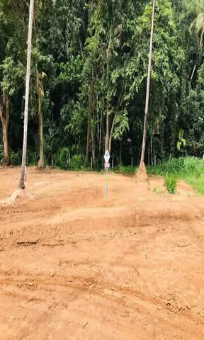 Commercial Land for Sale in Polgahawela ads-image-1