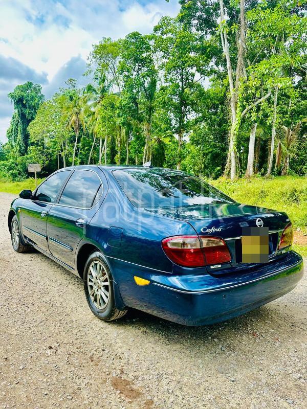 Advertisement image 5