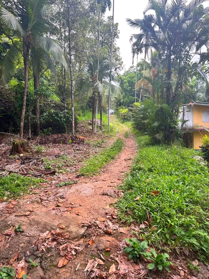 Commercial Land for Sale in Nittambuwa