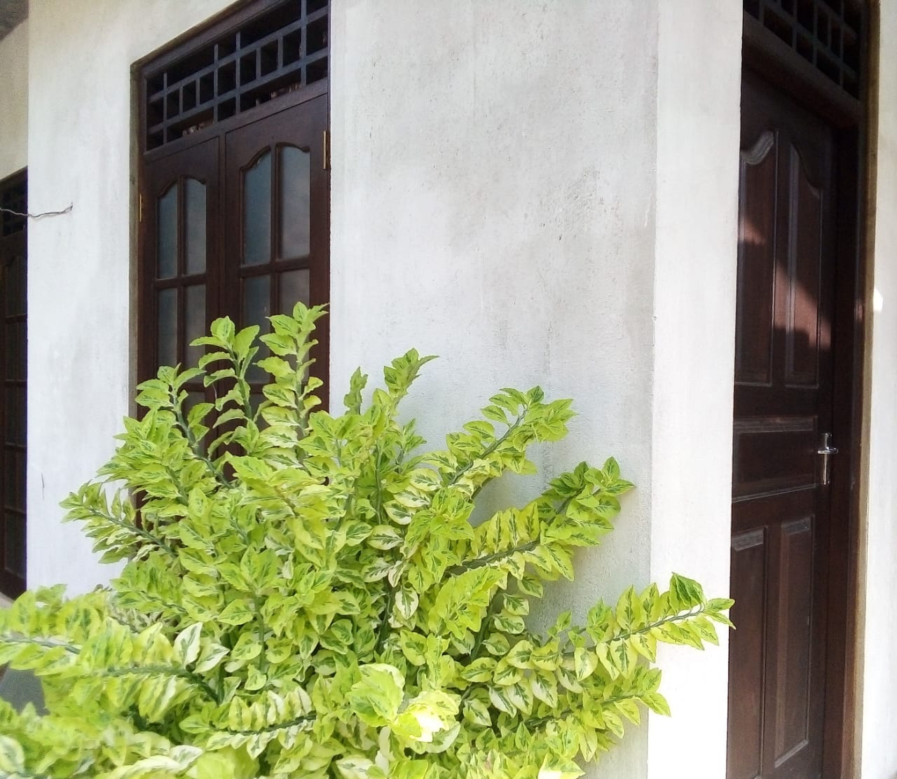 Room for Rent in Malabe