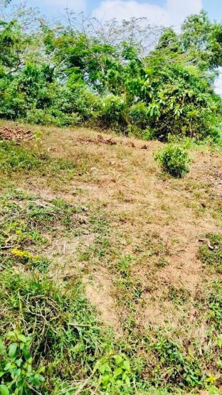 Residential Land for Sale in Karapitiya