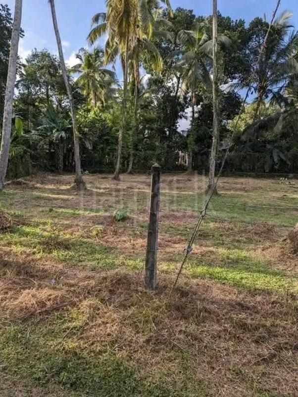 Agricultural Land for Sale in Gampola