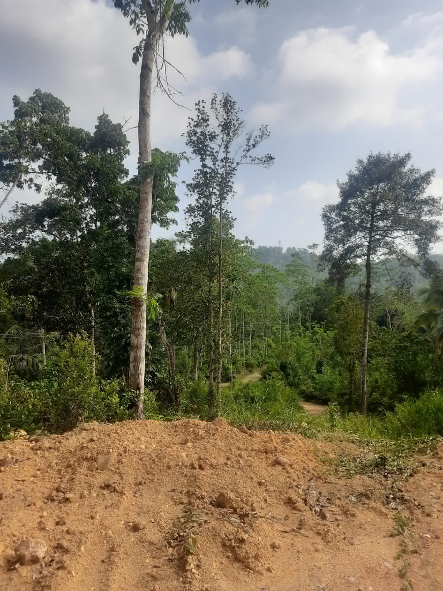 Residential Land for Sale in Galle