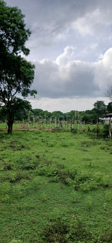 Residential Land for Sale in Kataragama