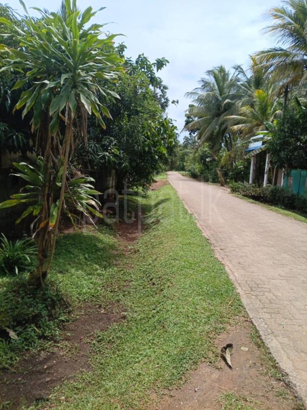 House for Sale in Rambewa