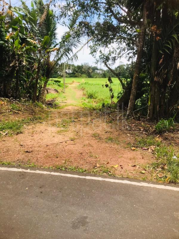 Commercial Land for Sale in Unawatuna ads-image-1