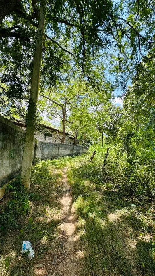 Residential Land for Sale in Badulla