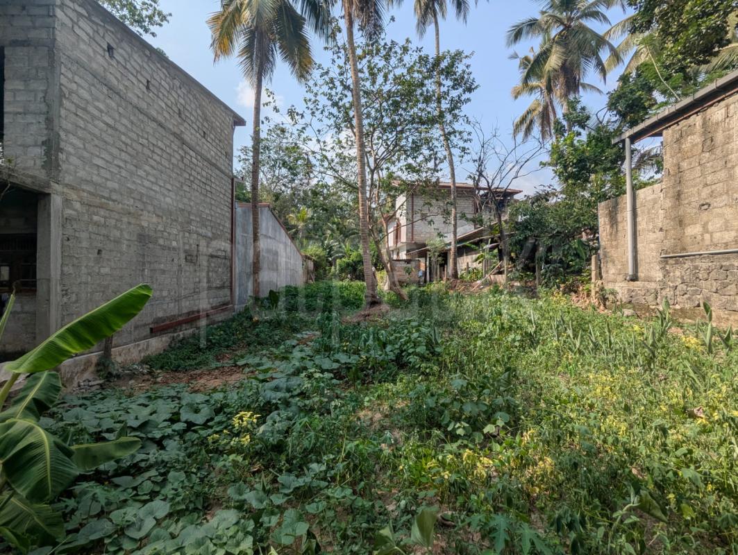 Commercial Land for Sale in Mandawala